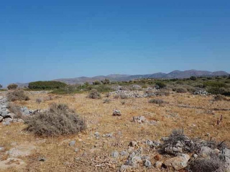 Milatos Kreta, Milatos: Sehr großes Grundstück nahe dem Meer zu verkaufen Grundstück kaufen